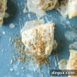 Cinnamon Orange Mini Scones — Soft Zesty Tea Treats 9 img 48245 8