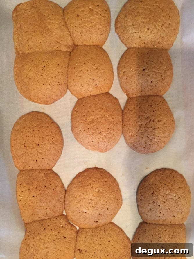 2016 recipe disasters I howsweeteats.com 
