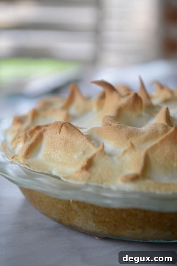 2016 recipe disasters I howsweeteats.com 