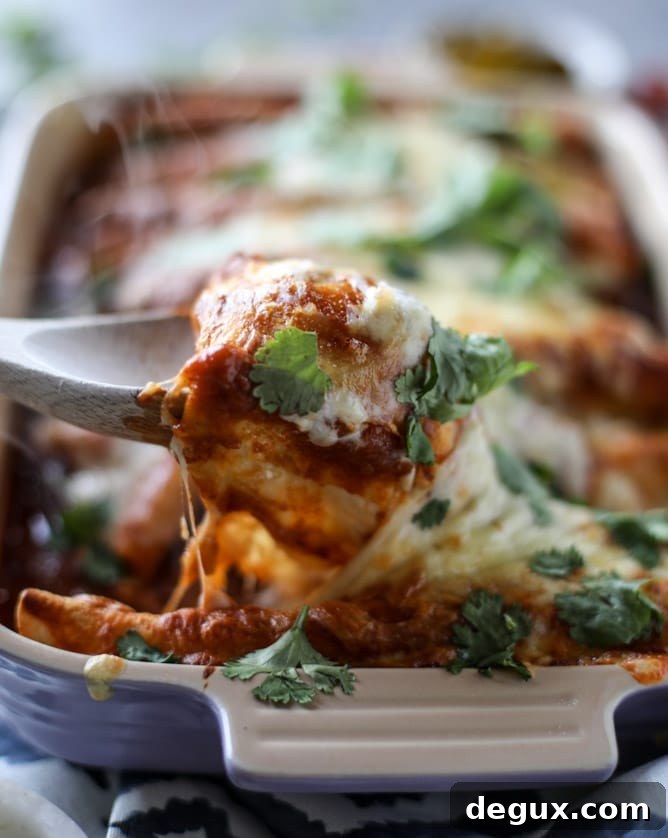 Smoky Enchilada Sauce in 10 Minutes with Cheesy Pork Enchiladas 7 cheesy pork enchiladas with 10 minutes smoky enchilada sauce I howsweeteats.com