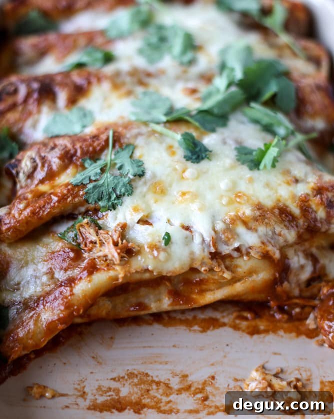 Smoky Enchilada Sauce in 10 Minutes with Cheesy Pork Enchiladas 8 cheesy pork enchiladas with 10 minutes smoky enchilada sauce I howsweeteats.com