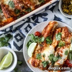 Smoky Enchilada Sauce in 10 Minutes with Cheesy Pork Enchiladas 9 img 48316 8