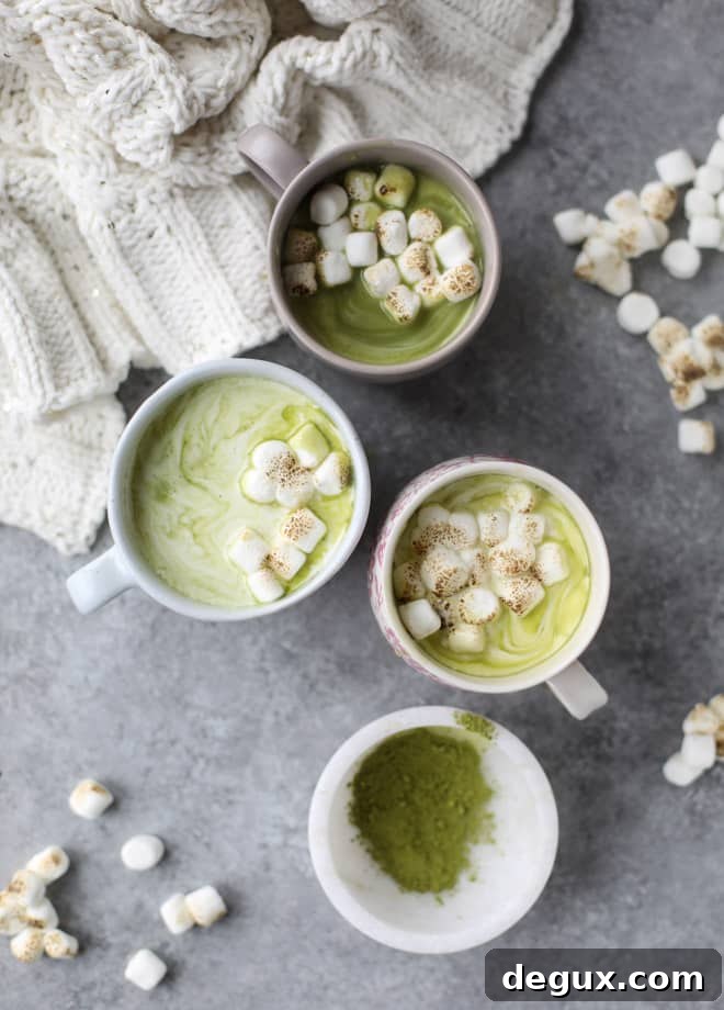 matcha honey hot chocolate with toasted marshmallows I howsweeteats.com 