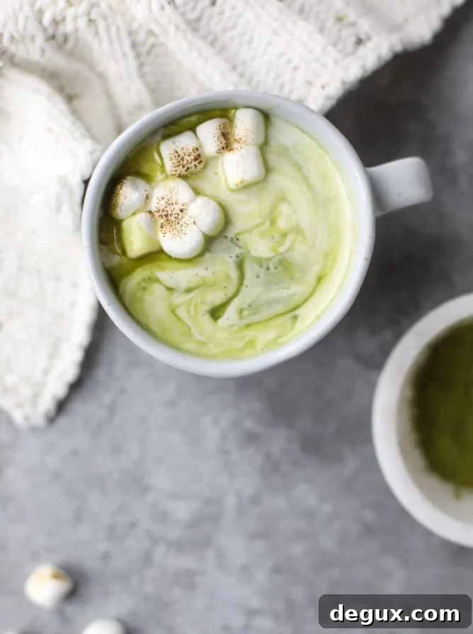 matcha honey hot chocolate with toasted marshmallows I howsweeteats.com 