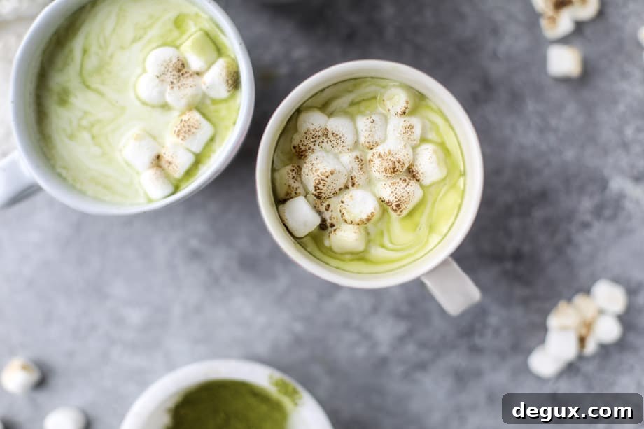 matcha honey hot chocolate with toasted marshmallows I howsweeteats.com 