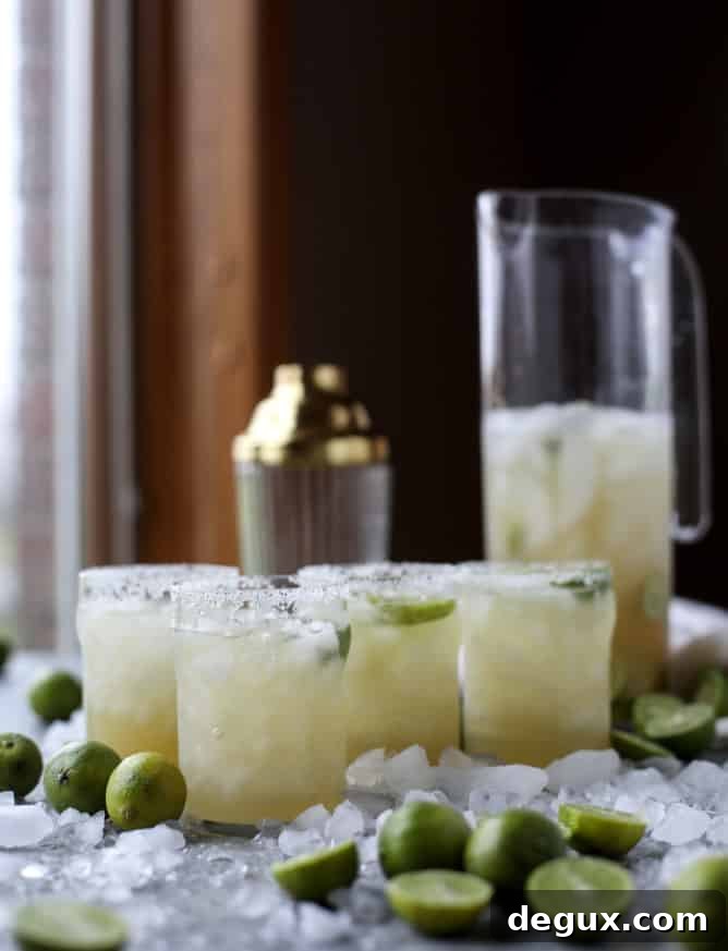 Key Lime Beergarita Recipe: How to Make Tart & Fizzy Cocktails 5 key lime beergaritas I howsweeteats.com