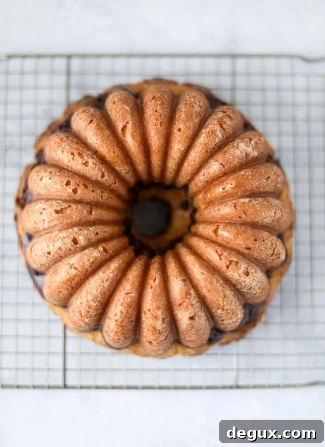 Blood Orange Coffee Cake Recipe — Citrus-Swirled Bundt Cake 5 This blood orange coffee cake is made with greek yogurt and the most delicious blood orange glaze! Perfect for a winter breakfast or brunch! I howsweeteats.com #bloodorange #coffeecake