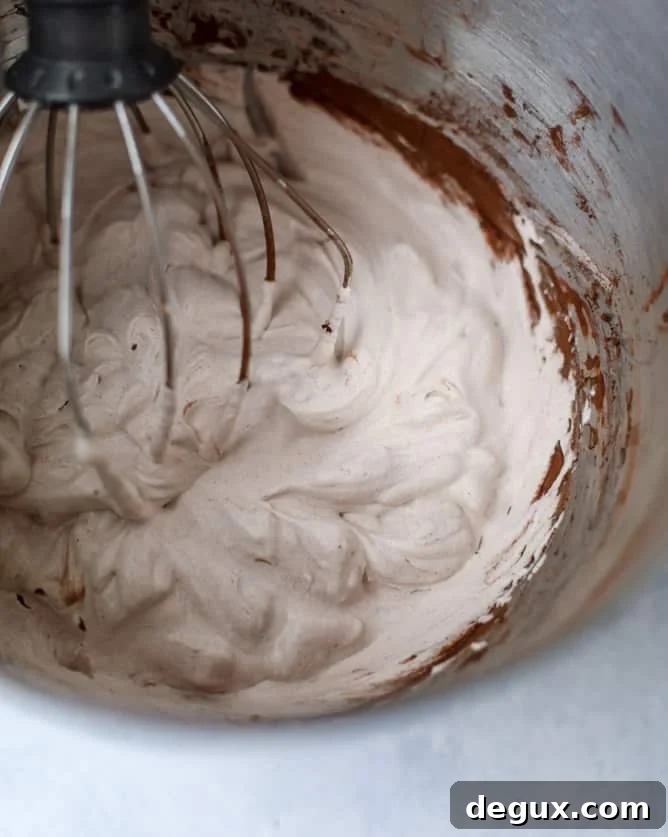 chocolate lovers coconut milkshakes I howsweeteats.com
