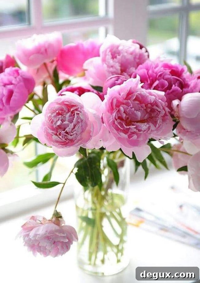 currently crushing on I howsweeteats.com 