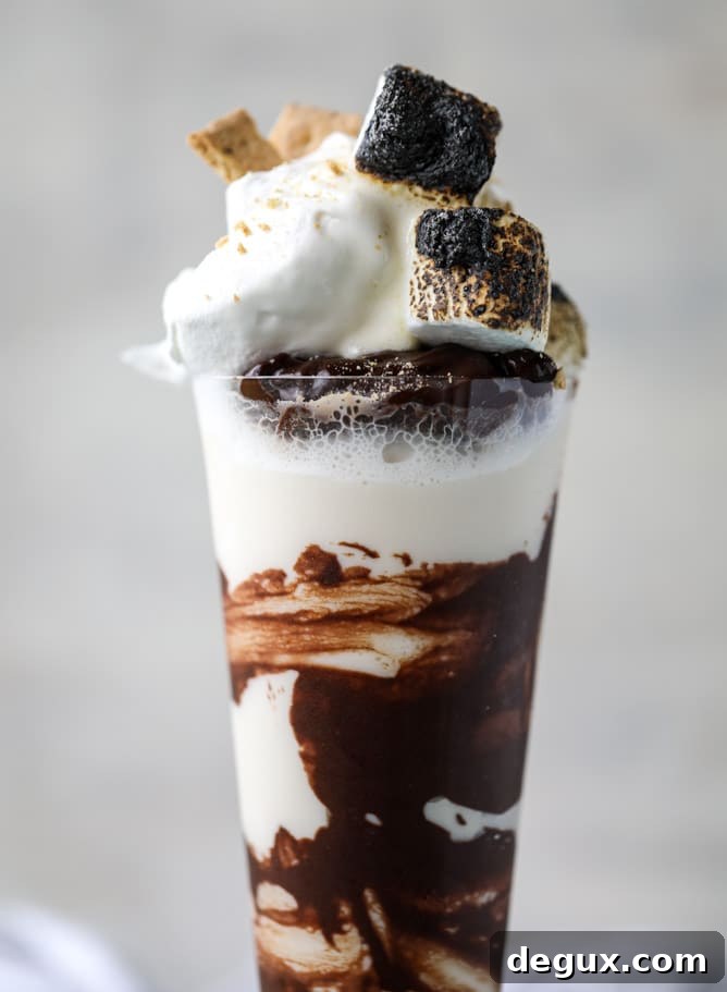 s'mores stout milkshakes I howsweeteats.com 