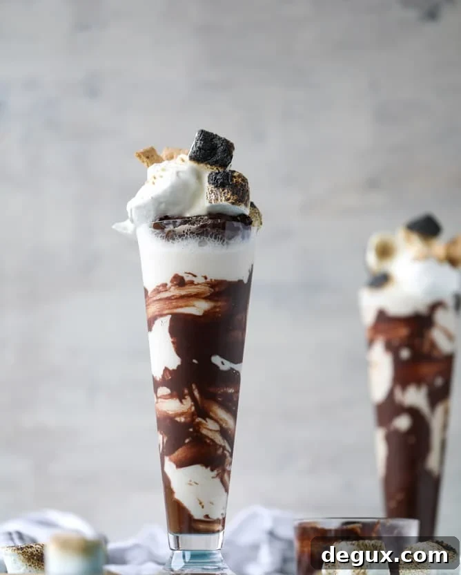 s'mores stout milkshakes I howsweeteats.com 