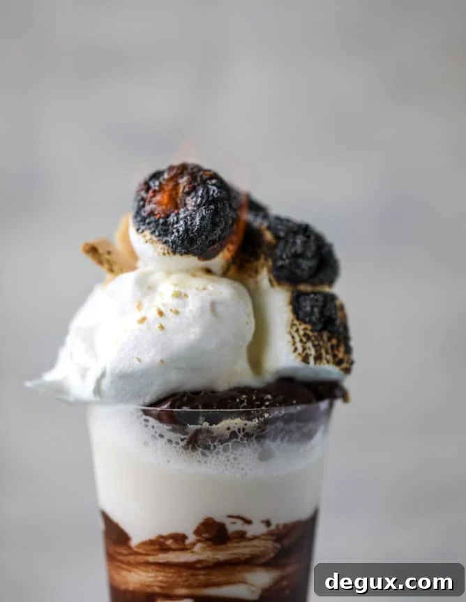 s'mores stout milkshakes I howsweeteats.com 