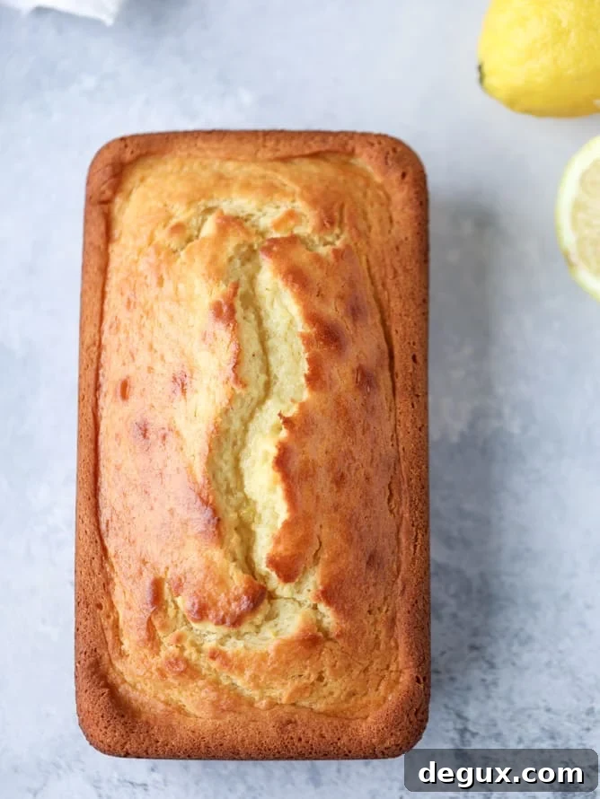 greek yogurt lemon loaf I howsweeteats.com