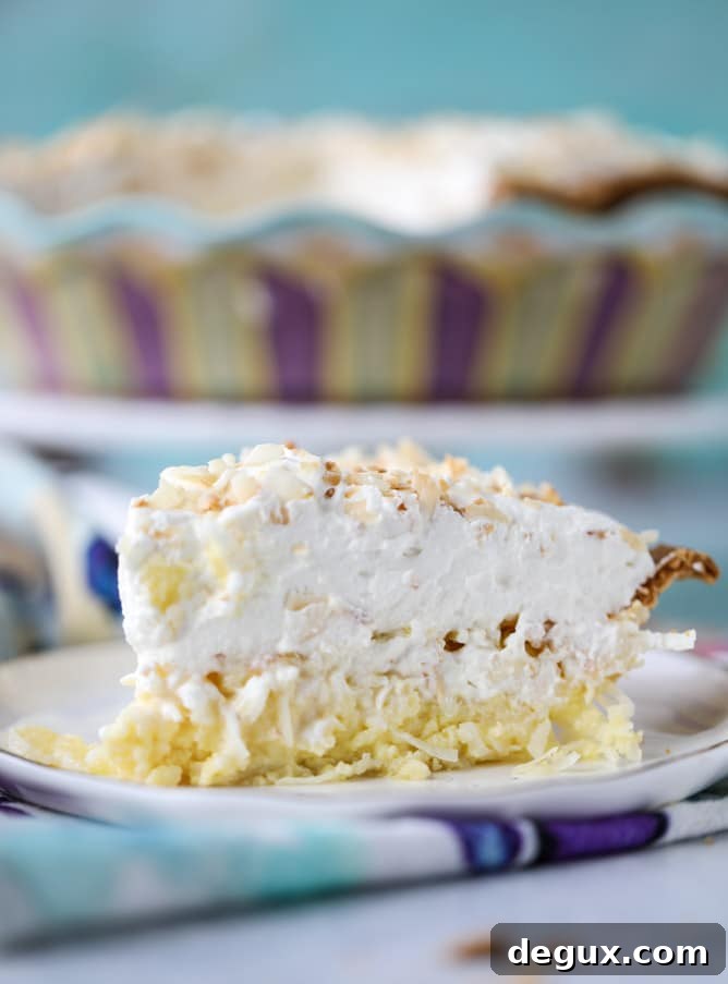Coconut Custard Pie with Silky Coconut Whipped Cream 2 coconut custard pie with coconut whipped cream I howsweeteats.com