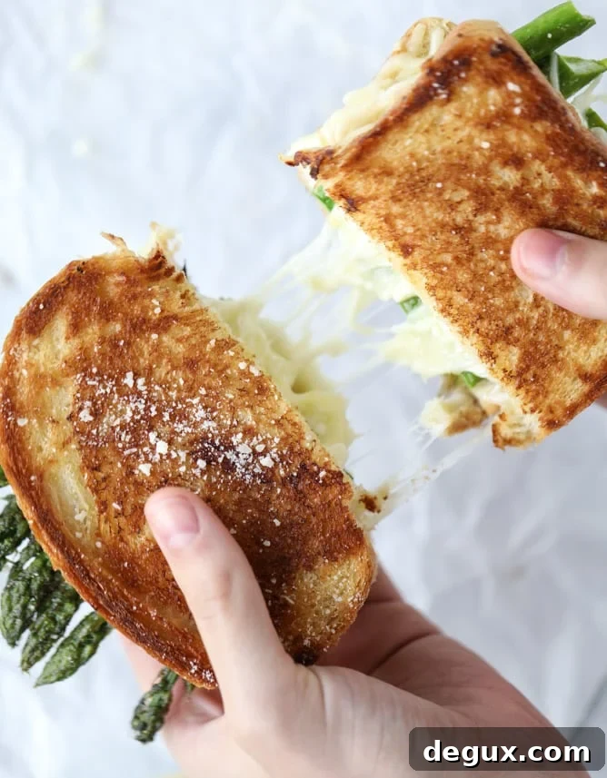 Grilled Asparagus and Brown Butter Dijon Cheese Sandwich 2 asparagus grilled cheese with brown butter & dijon I howsweeteats.com