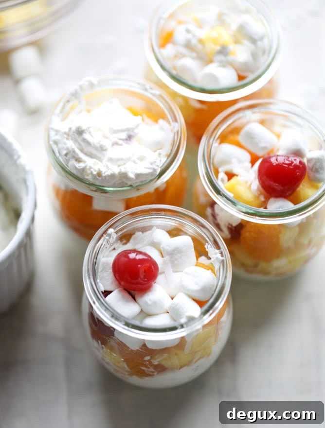 Ambrosia Whipped Yogurt Fruit Parfait Recipe 5 ambrosia whipped yogurt fruit parfaits I howsweeteats.com