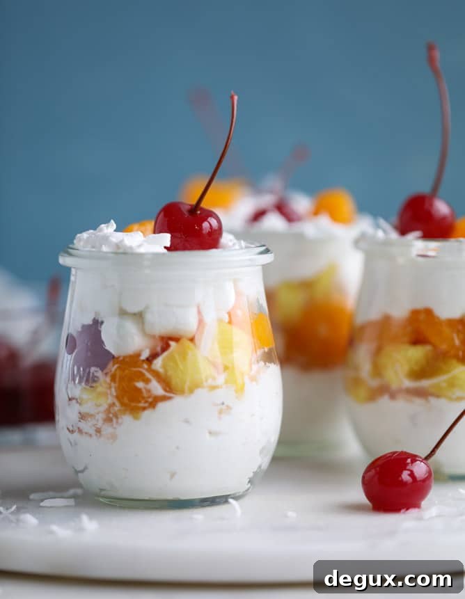Ambrosia Whipped Yogurt Fruit Parfait Recipe 7 ambrosia whipped yogurt fruit parfaits I howsweeteats.com