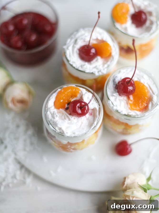Ambrosia Whipped Yogurt Fruit Parfait Recipe 9 ambrosia whipped yogurt fruit parfaits I howsweeteats.com