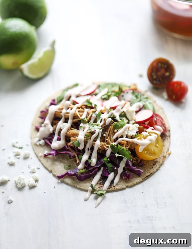 Chipotle Beer-Braised Chicken Tacos with Lime Slaw 4 beer braised chipotle chicken tacos I howsweeteats.com