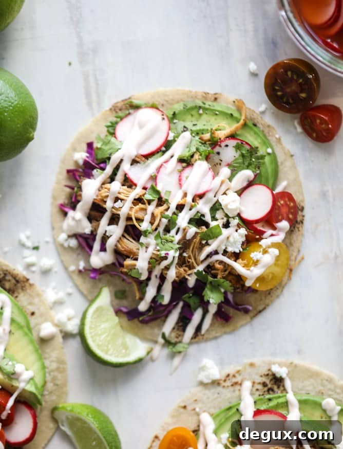 Chipotle Beer-Braised Chicken Tacos with Lime Slaw 5 beer braised chipotle chicken tacos I howsweeteats.com