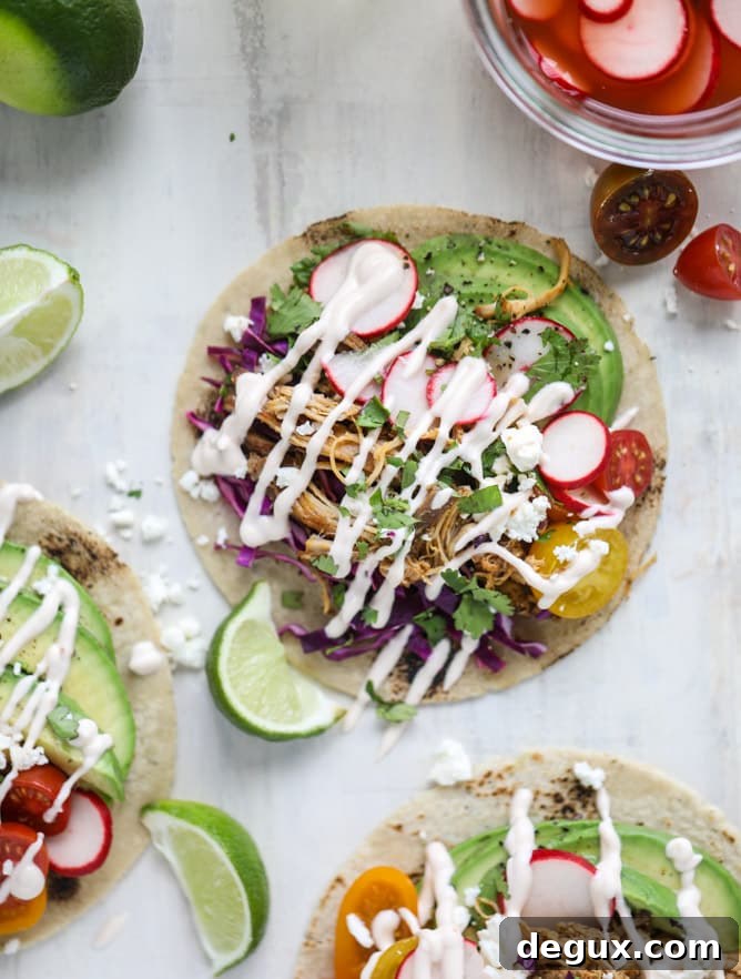Chipotle Beer-Braised Chicken Tacos with Lime Slaw 7 beer braised chipotle chicken tacos I howsweeteats.com