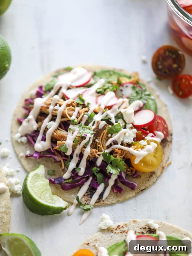 Chipotle Beer-Braised Chicken Tacos with Lime Slaw 10 beer braised chipotle chicken tacos I howsweeteats.com