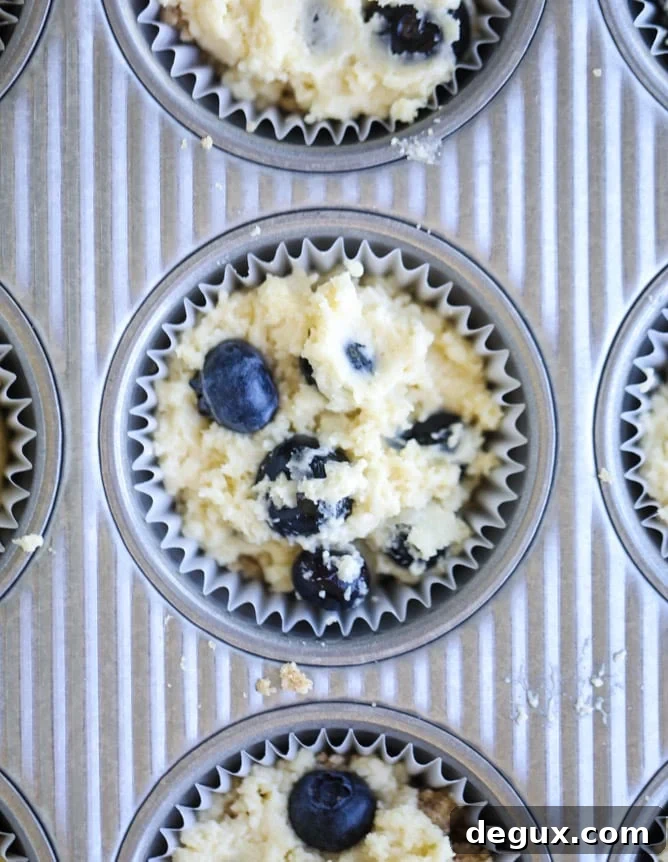 bursting blueberry coffee cake muffins I howsweeteats.com