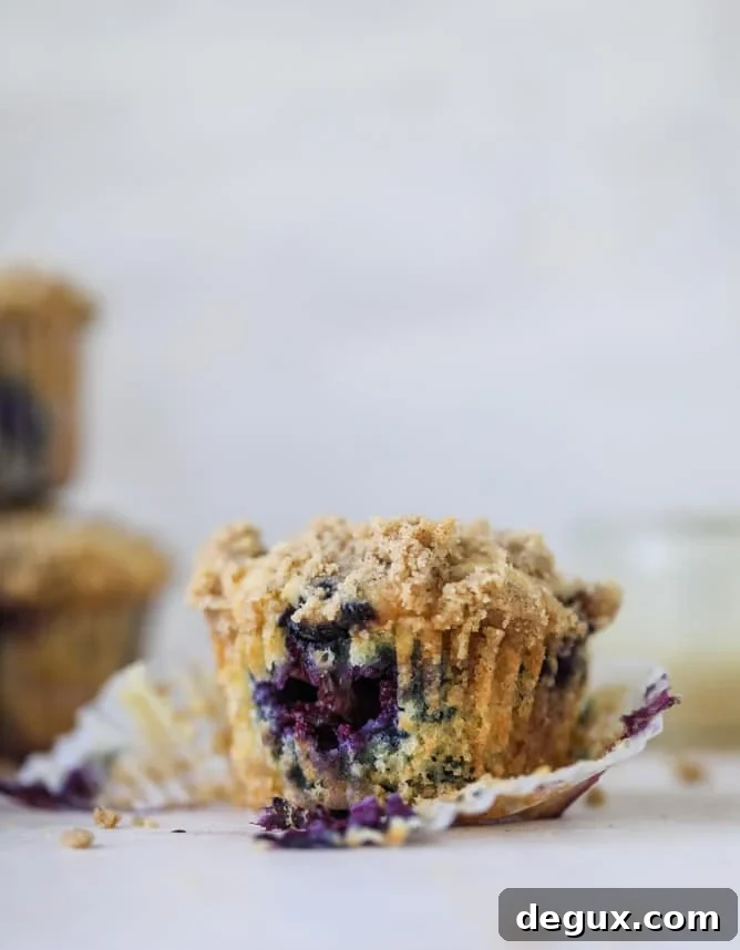 bursting blueberry coffee cake muffins I howsweeteats.com