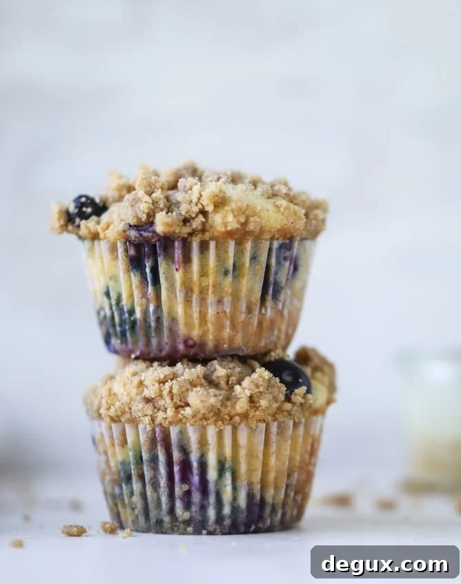 bursting blueberry coffee cake muffins I howsweeteats.com