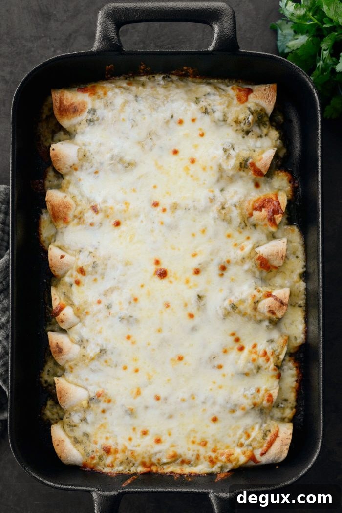 Cheesy Beef Enchiladas with Salsa Verde Recipe 15 baked Cheesy Beef Enchiladas Verdes