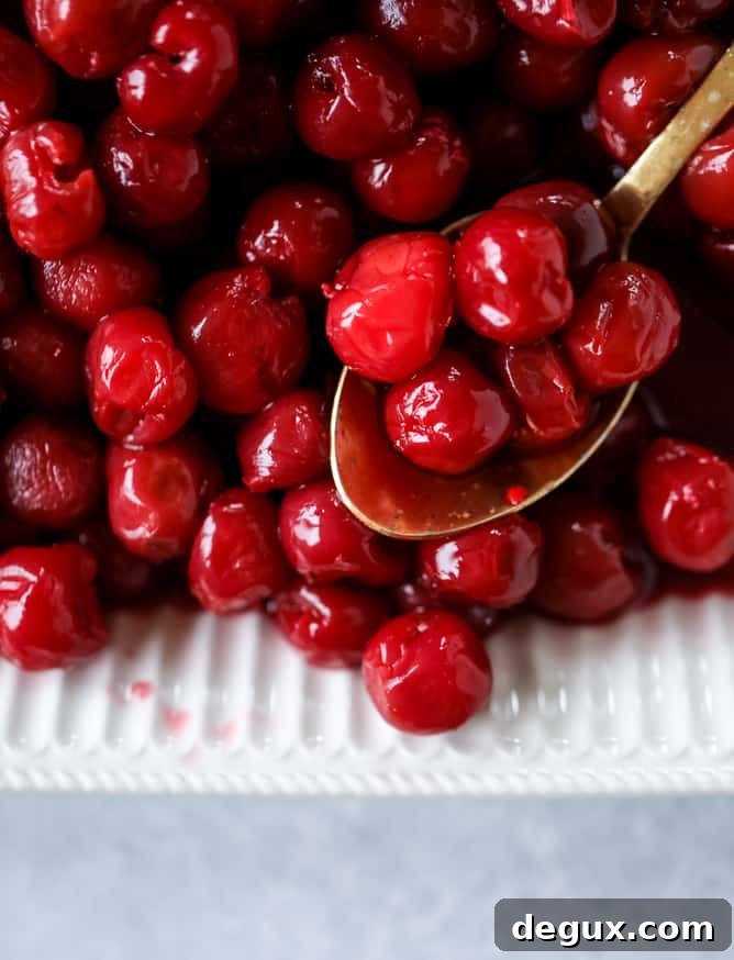 Sour Cherry Galette Recipe: Flaky Crust and Tart Filling 3 the best sour cherry galette I howsweeteats.com