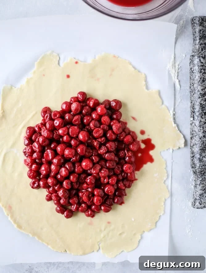 Sour Cherry Galette Recipe: Flaky Crust and Tart Filling 4 the best sour cherry galette I howsweeteats.com