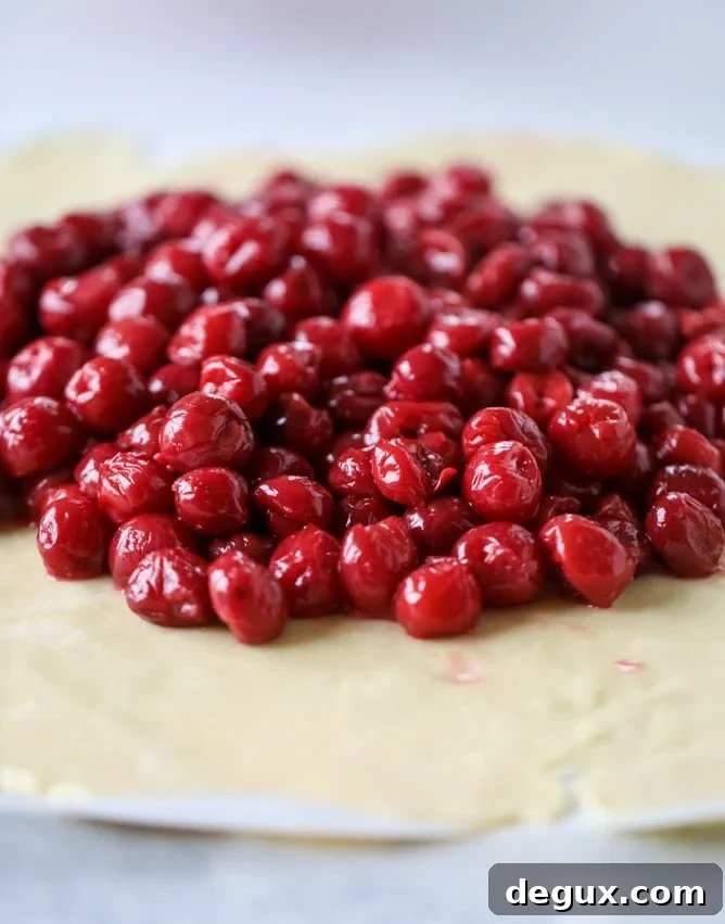 Sour Cherry Galette Recipe: Flaky Crust and Tart Filling 5 the best sour cherry galette I howsweeteats.com