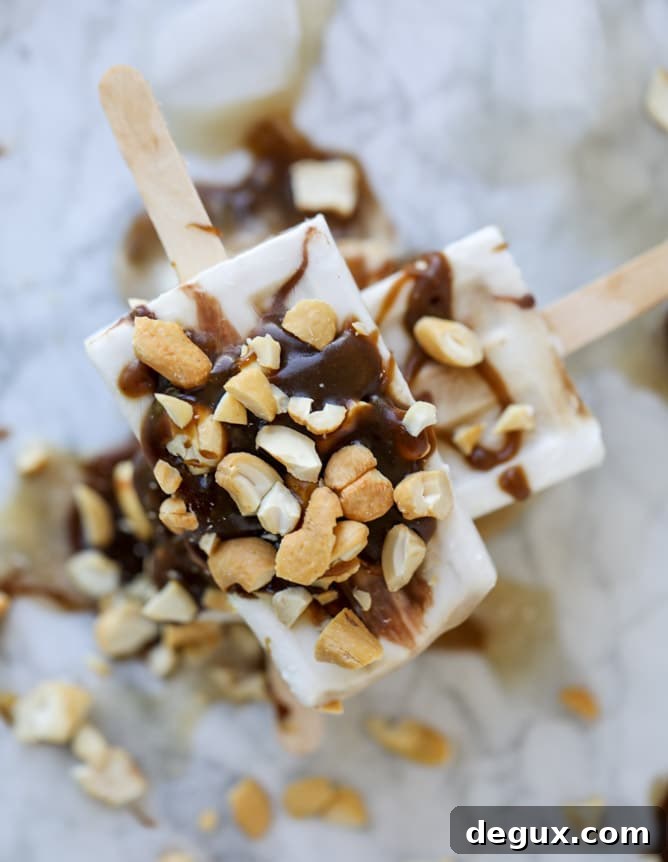 coconut chocolate caramel cashews pops I howsweeteats.com 