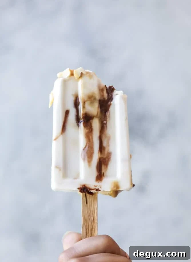 coconut chocolate caramel cashews pops I howsweeteats.com 