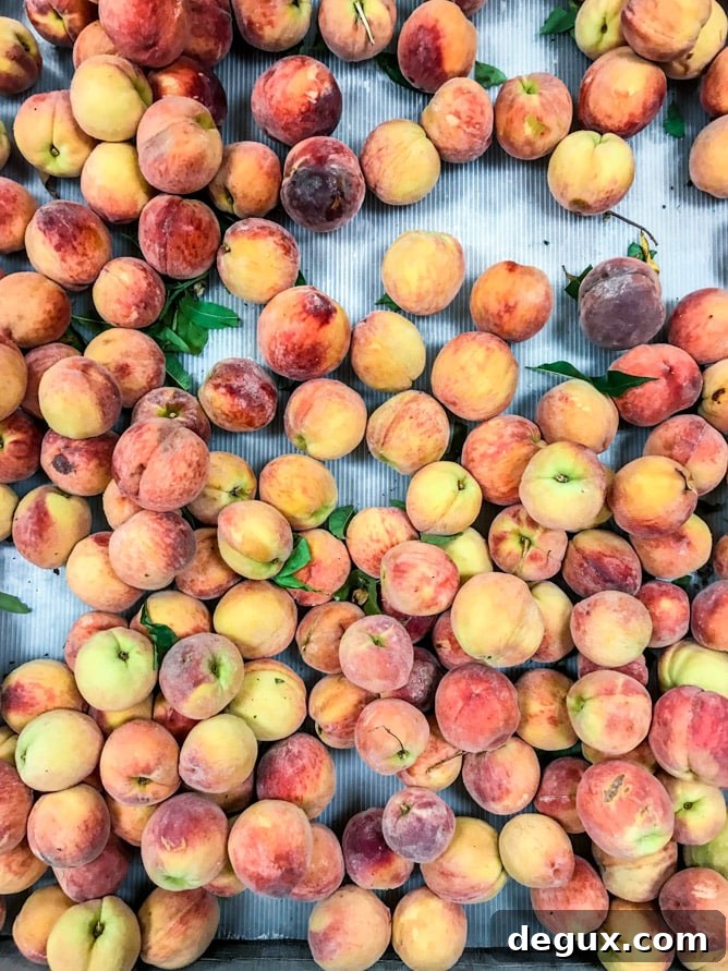 currently crushing on I howsweeteats.com 