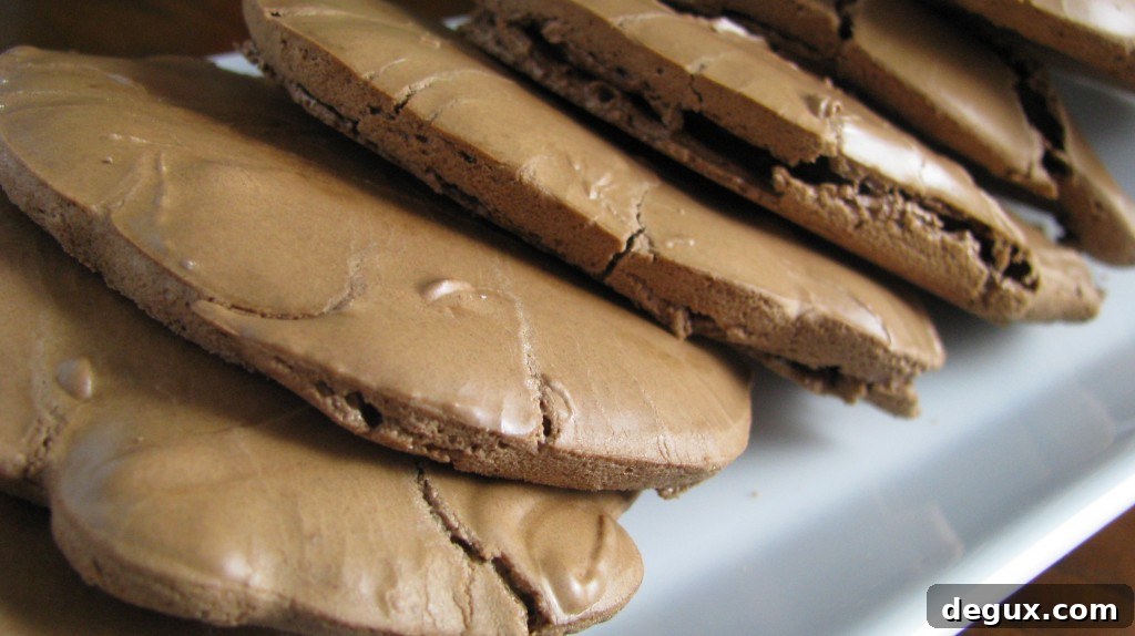Fresh baked chocolate chewies