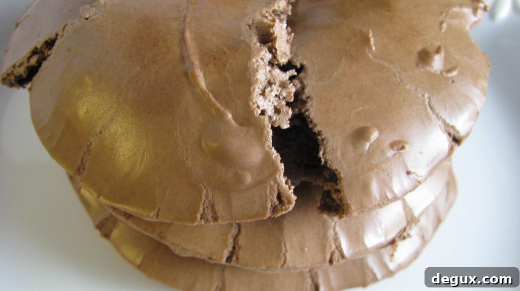 Chocolate chewies cross section