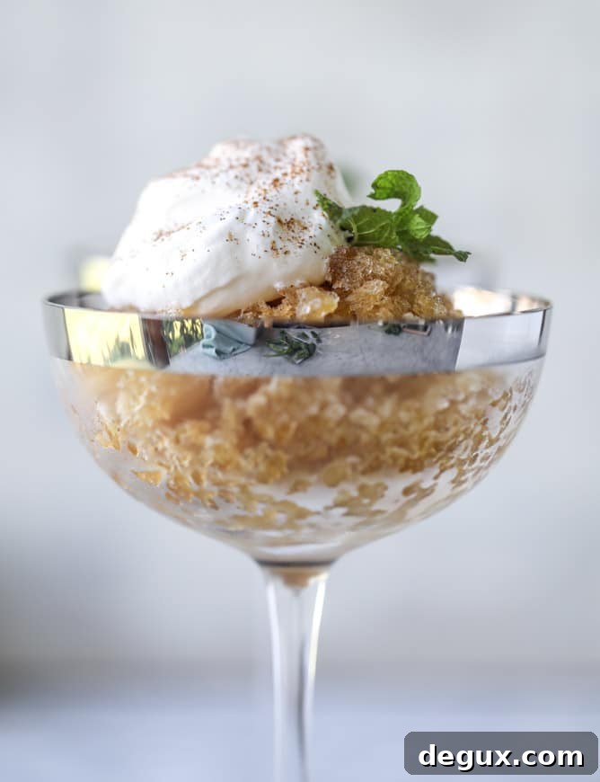 mojito coffee granita I howsweeteats.com 