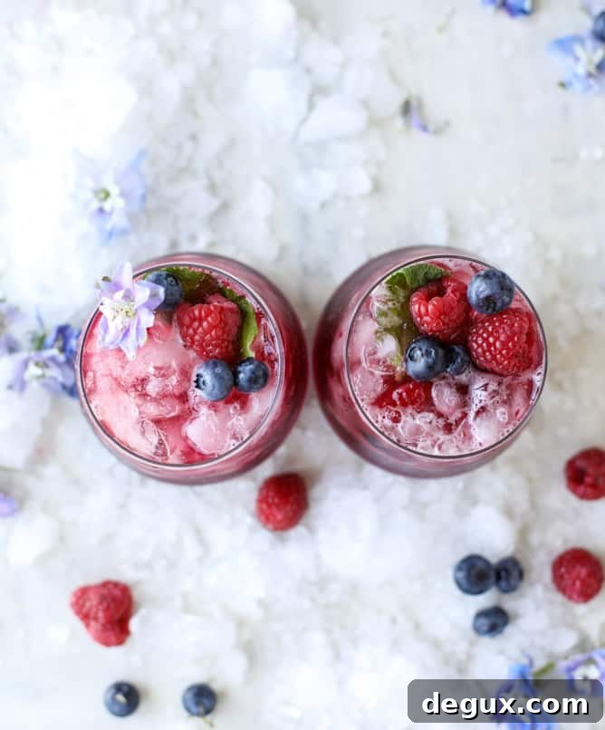 honey berry kombucha smash I howsweeteats.com