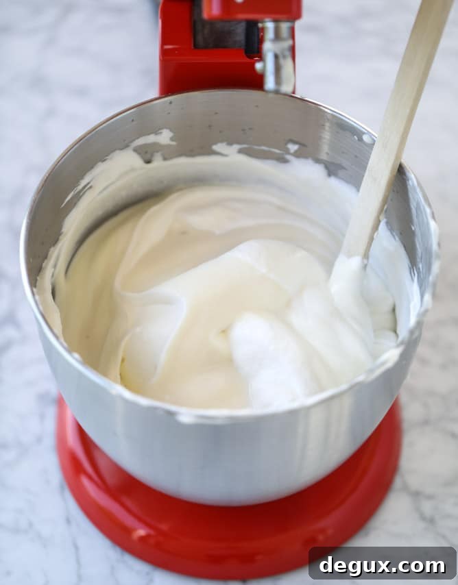 No-Churn Ricotta Ice Cream Recipe — Creamy, No-Machine Dessert 3 no-churn ricotta ice cream I howsweeteats.com