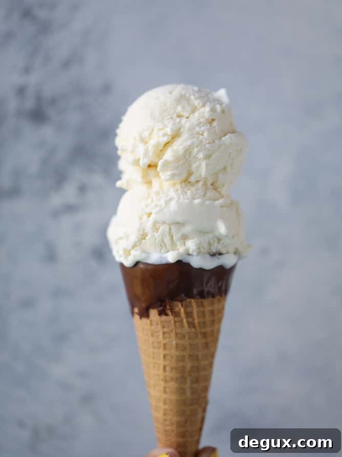 No-Churn Ricotta Ice Cream Recipe — Creamy, No-Machine Dessert 5 no-churn ricotta ice cream I howsweeteats.com