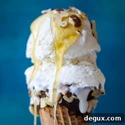 No-Churn Ricotta Ice Cream Recipe — Creamy, No-Machine Dessert 8 img 50731 8