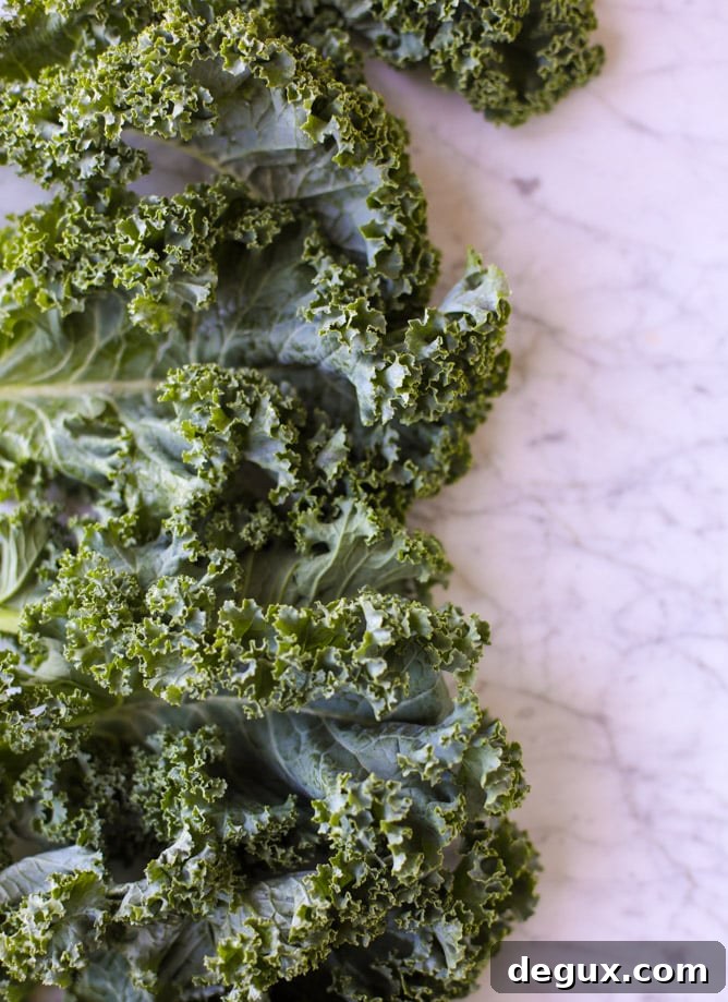 Charred Kale and Avocado Salad with Lemon-Garlic Dressing 3 grilled kale avocado salad I howsweeteats.com