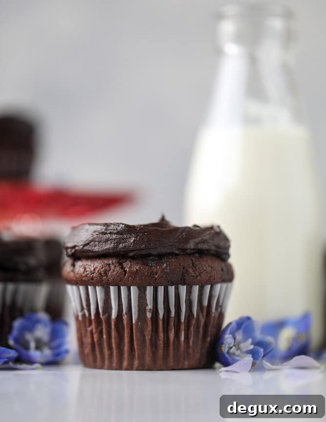 Chocolate Zucchini Cupcakes with Creamy Avocado Fudge Frosting 2 chocolate zucchini cupcakes with avocado frosting I howsweeteats.com