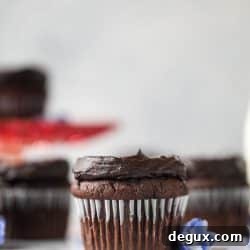 Chocolate Zucchini Cupcakes with Creamy Avocado Fudge Frosting 12 img 50939 12