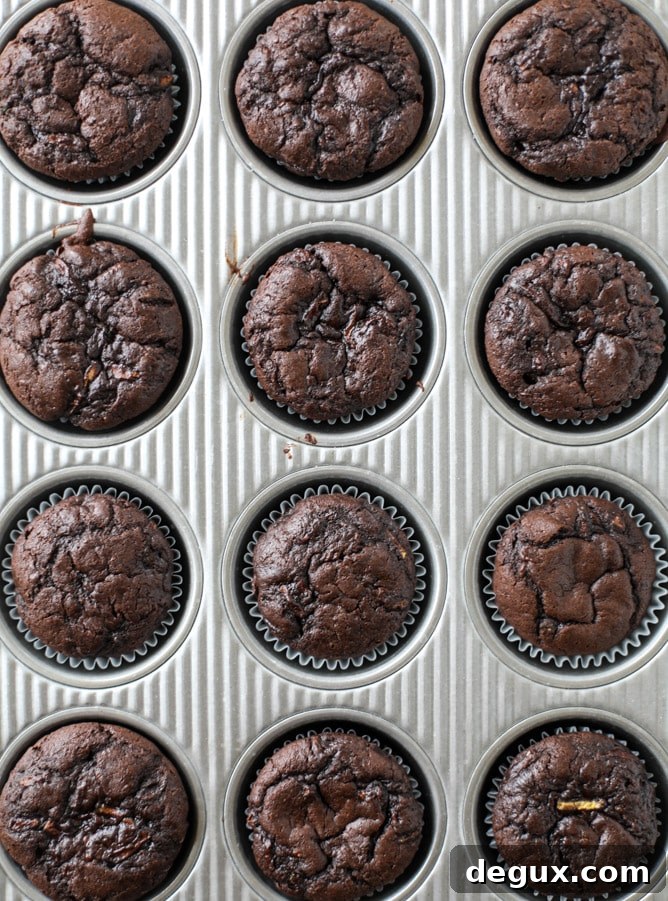Chocolate Zucchini Cupcakes with Creamy Avocado Fudge Frosting 5 chocolate zucchini cupcakes with avocado frosting I howsweeteats.com