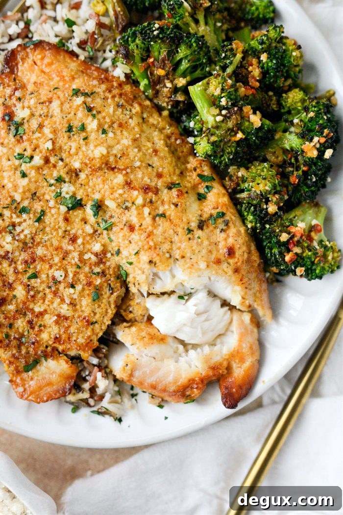 Broiled tilapia parmesan