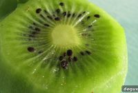 Kiwi Mango Salsa Recipe for Fresh, Zesty Summer Flavor