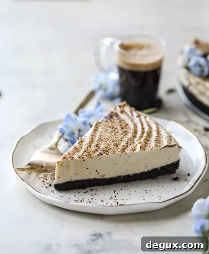 no bake greek yogurt cheesecake I howsweeteats.com